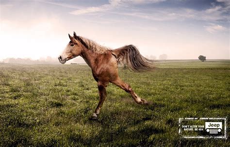 Jeep Uses Two Legged Horse  To Poke Fun At Fwd Suv Rivals