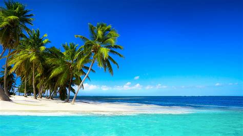 Hd Wallpaper Tropical Beach With Palm Trees Beautiful Sky Blue Sea