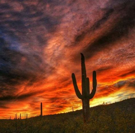 Beautiful Tucson Az Arizona Sunrise Arizona Sunset