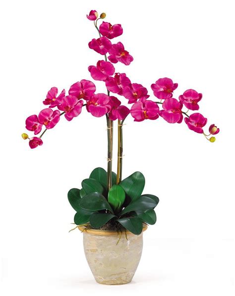Triple Phalaenopsis Silk Orchid Flowers In Beauty Pink Silk Orchids