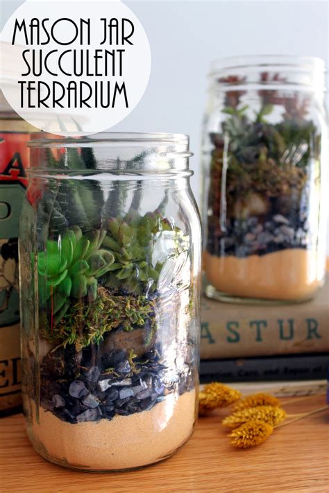 Terrarium In A Mason Jar T Idea The Country Chic Cottage