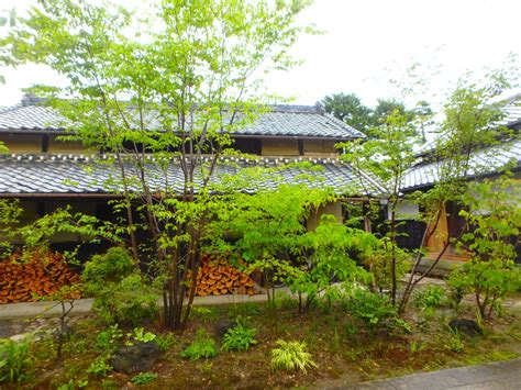 雑木の日本庭園 | 彩葉苑ブログ