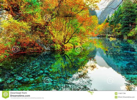 The Five Flower Lake Colorful Autumn Forest Reflected In Water Stock