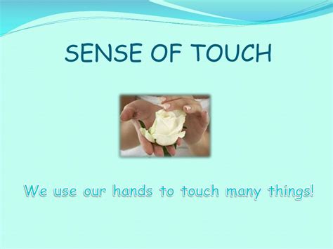 Ppt Our Five Senses Powerpoint Presentation Free Download Id2137211