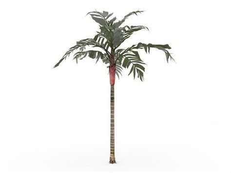 Tropical Palm Tree 3d Model 3ds Max Files Free Download Modeling