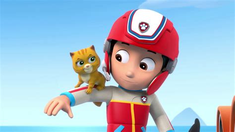 Watch Paw Patrol Season 1 Episode 3 Pups And The Kitty Tastrophe