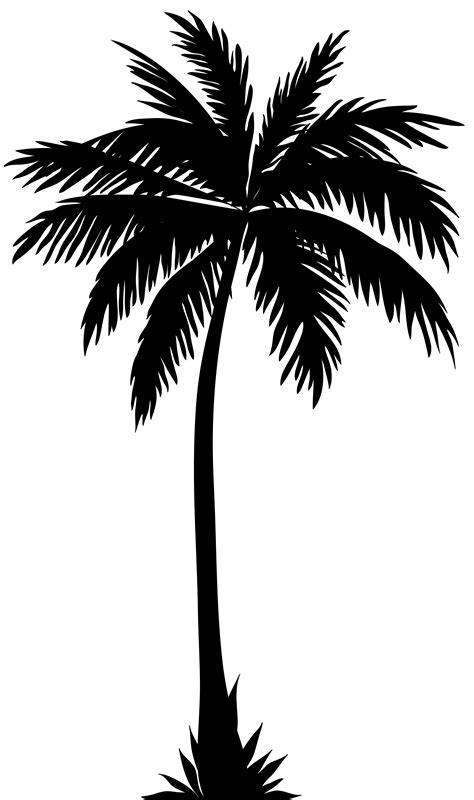Free Palm Tree Silhouette Transparent Background Download Free Palm