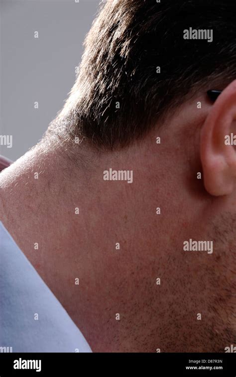 Neck With Hairline Of A Man Stock Photo Alamy