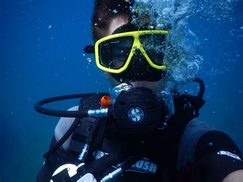 무료 이미지 휴양 수영 푸른 몇 개의 수상 스포츠 스쿠버 다이빙 야외 레크리에이션 해양 생물학 수중 다이빙