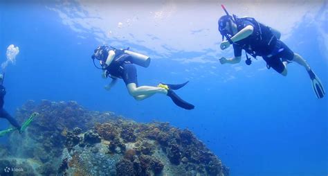 discover scuba diving course in koh samui thailand klook canada