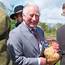 Prince Charles Is So Obsessed With Chickens Fans Call His Home 