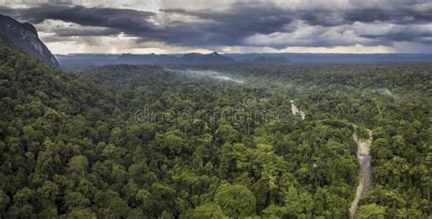 Exotic Rainforest Landscape From Gunung Mulu National Park Borneo