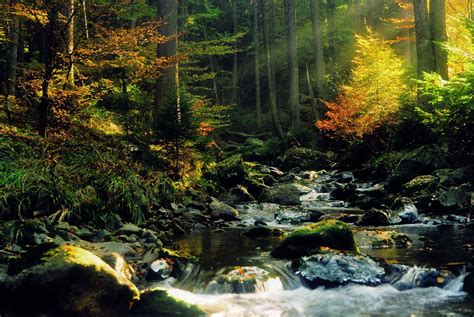 Wallpaper Sunlight Landscape Waterfall Nature Reflection River