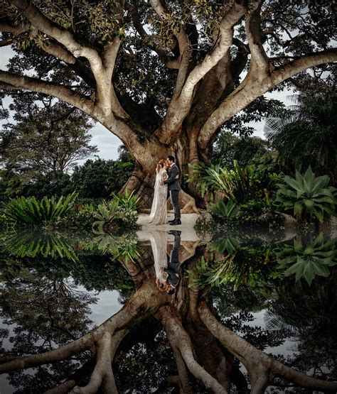 The Best Wedding Photographers Of 2019 And Their Amazing Images Love