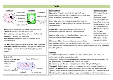 Cells Revision Sheet New Aqa By Teachsci1 Teaching Resources Tes