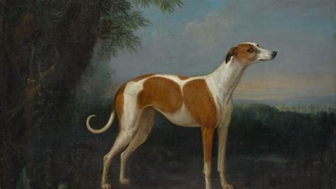 Its A Dogs Life Canine Portraits And Scenes From Old Master Paintings