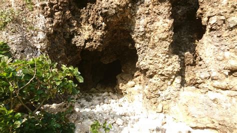 The site owner hides the web page description. 『悲劇の沖縄戦の土地で平和を誓う旅』糸満・ひめゆり(沖縄県 ...
