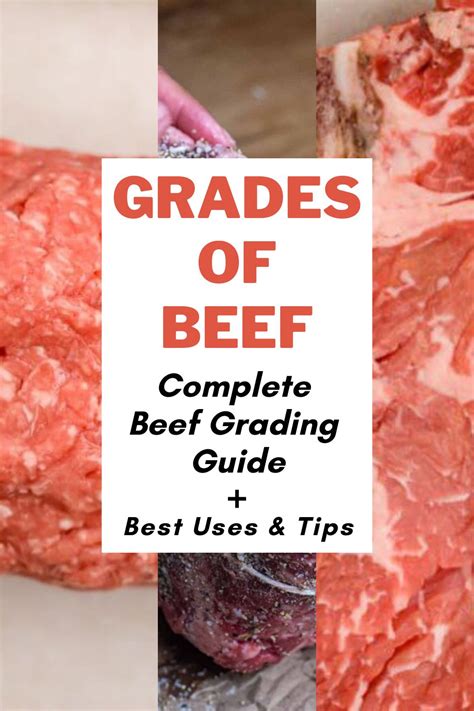 Beef Grades Explained Select Vs Choice Vs Prime Steaks 44 44 OFF