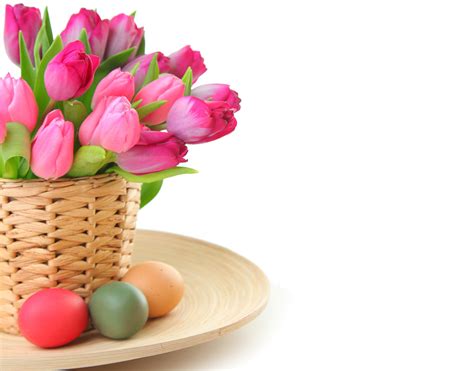 749479 4k 5k Tulips Wicker Basket Pink Color Rare Gallery Hd