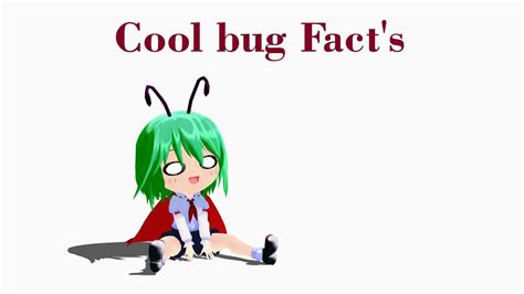 Cool Bug Facts Youtube