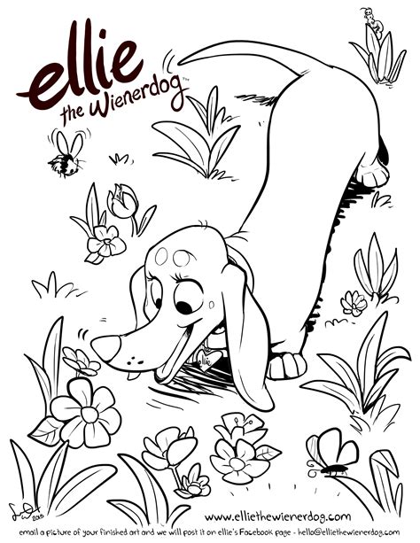 Ellie the Wienerdog in Spring Coloring Page | Dachshund colors, Spring