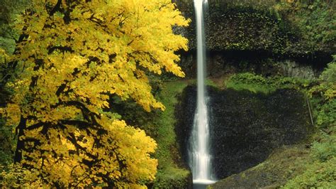 2560x1440 Waterfall Autumn River 1440p Resolution