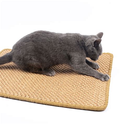 Cat Sisal Cat Scratch Board Food Sleeping Mat Cushion Carpet Pet Toy