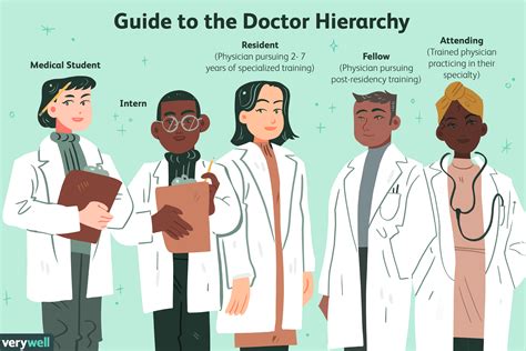 Who Are Doctors Residents Interns And Attendings
