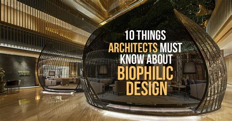 Biophilic Design 10 Things Architects Must Know Rtf