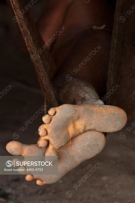 Huaorani Indian S Feet Protruding Form His Hammock Gabaro Community