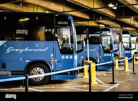 Greyhound Buses In Union Station Bus Terminal Washington Dc Stock