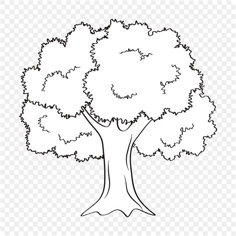 Hitam Dan Putih Vektor Pohon Besar Clipart Pohon Clipart Hitam Dan