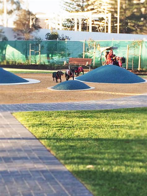 Home Balancing Act Adelaide In 2023 Dog Park Design Dog Playground