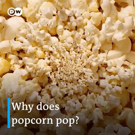 Dw Science On Twitter 🎞 Why Does Popcorn Pop 🍿💥