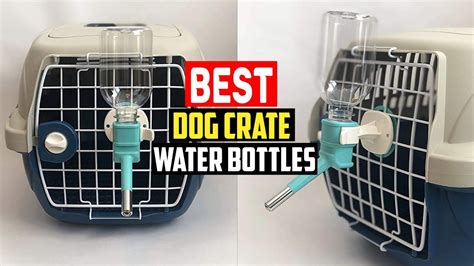 Top 5 Best Dog Crate Water Bottles In 2022 In 2022 Dog Crate Dog