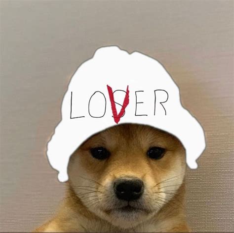 Elijah Lawes On Instagram Dogwifhatgang Dog Images Dog Icon Dog