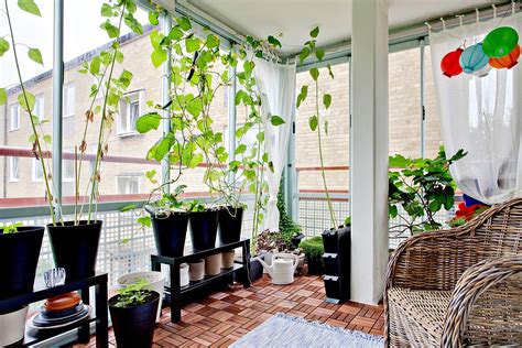 Home Indoor Garden Design