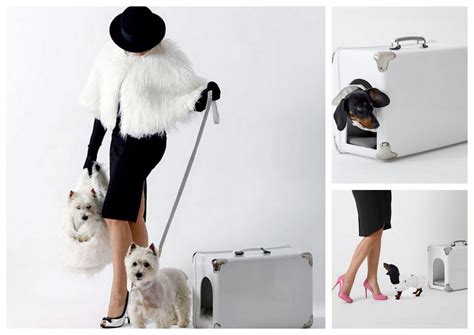 Sophisticated Fashionista.: Design for pets