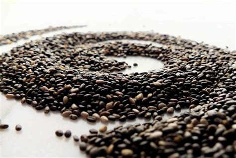 Comprehensive Information On Chia Seeds In Hindi And Other Languages