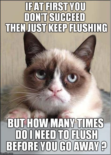 Grumpys Tough Flush Imgflip