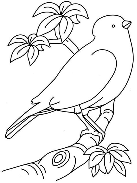 Slipper Pink Bird Coloring Pages For Kids Printable