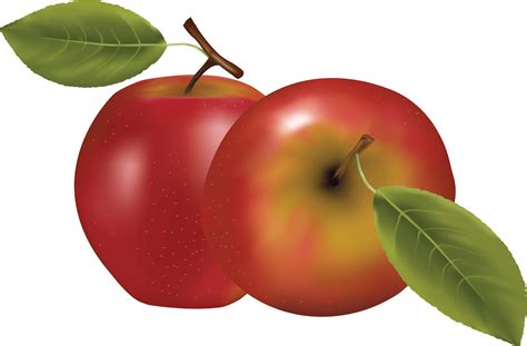 See more ideas about apple clip art, apple, clip art. 27 Red Apple Png Image