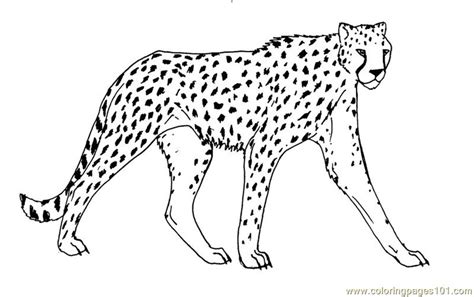Cheetah Coloring Page For Kids Free Cheetah Printable Coloring Pages