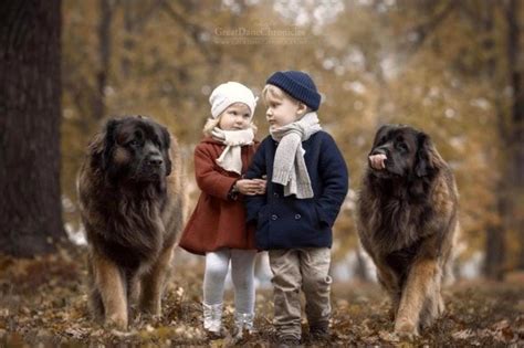 36 Truly Magical Photos Of Little Kids And Their Big Dogs