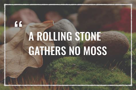 A Rolling Stone Gathers No Moss Liberal Dictionary