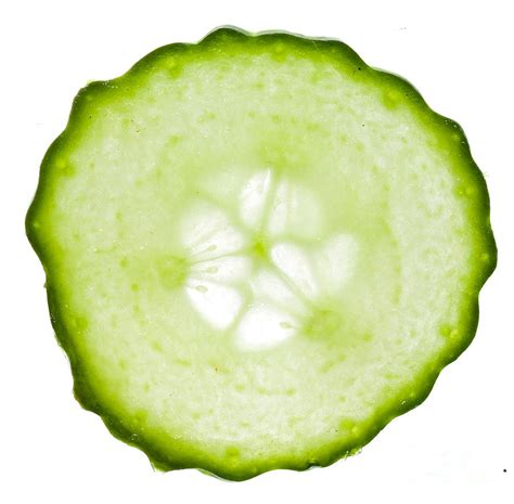 Cucumber Photograph By Johan Larson