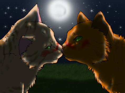 Sandstorm And Firestar Kiss On The Starry Night By Danituco On Deviantart