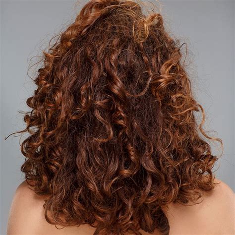 How To Help Frizzy Curly Hair Home Design Ideas