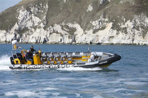 Sea Safari Tourism Rigid Inflatable Rib Boats Ribcraft Uk