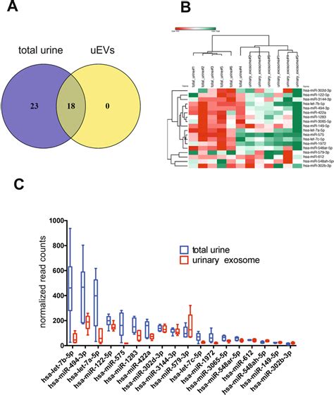 MiRNAs Present In Both The Total Urine And Urinary Exosome Samples A